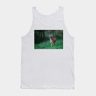 Fawn - White-tailed deer Tank Top